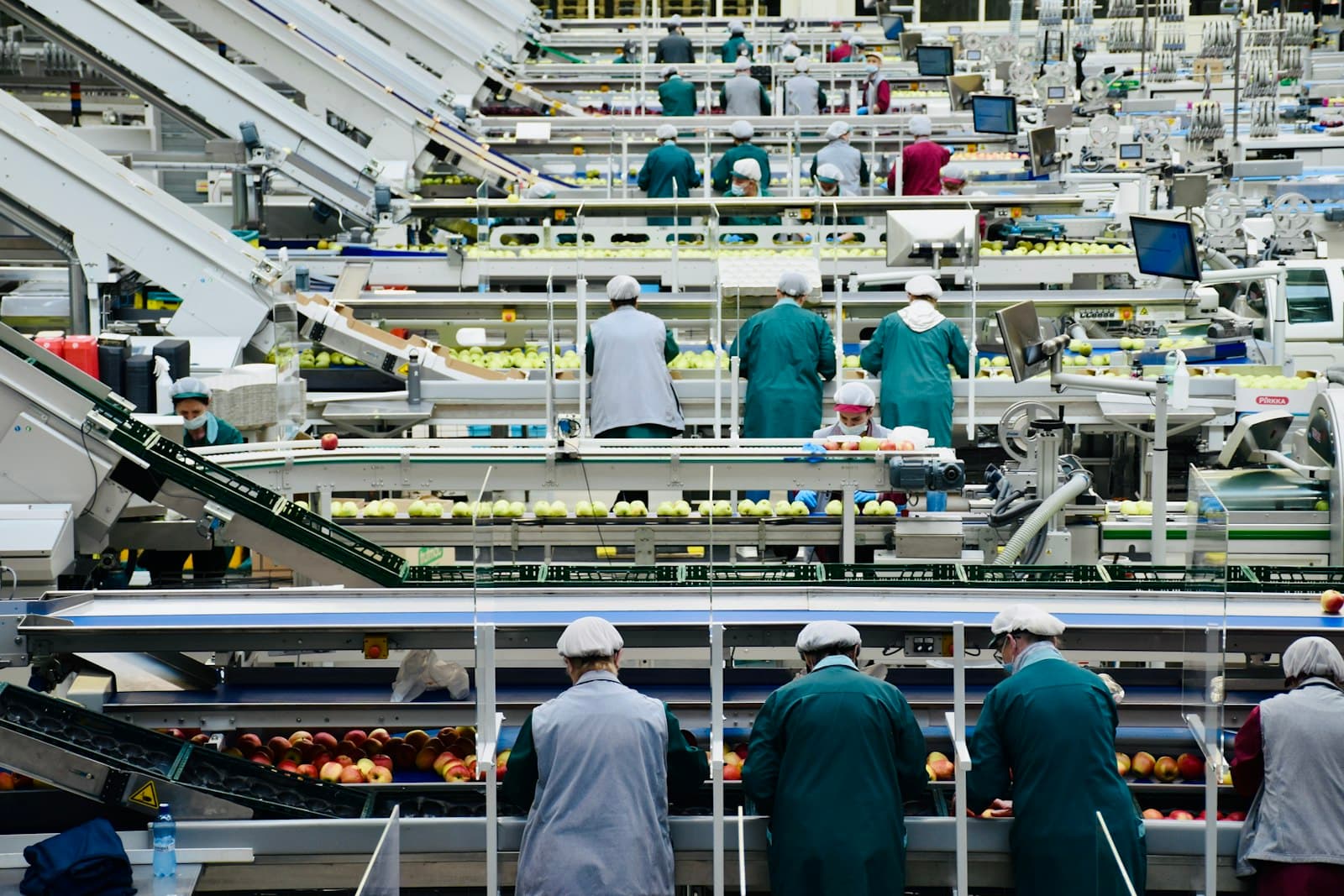 Des ouvriers dans une usine