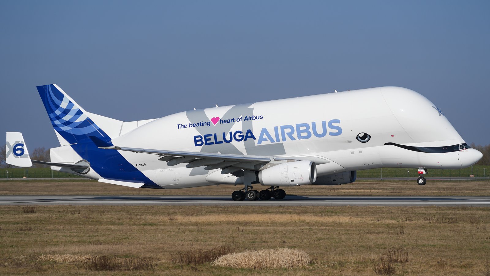 BelugaXL Airbus, avion-cargo de transport de tronçons