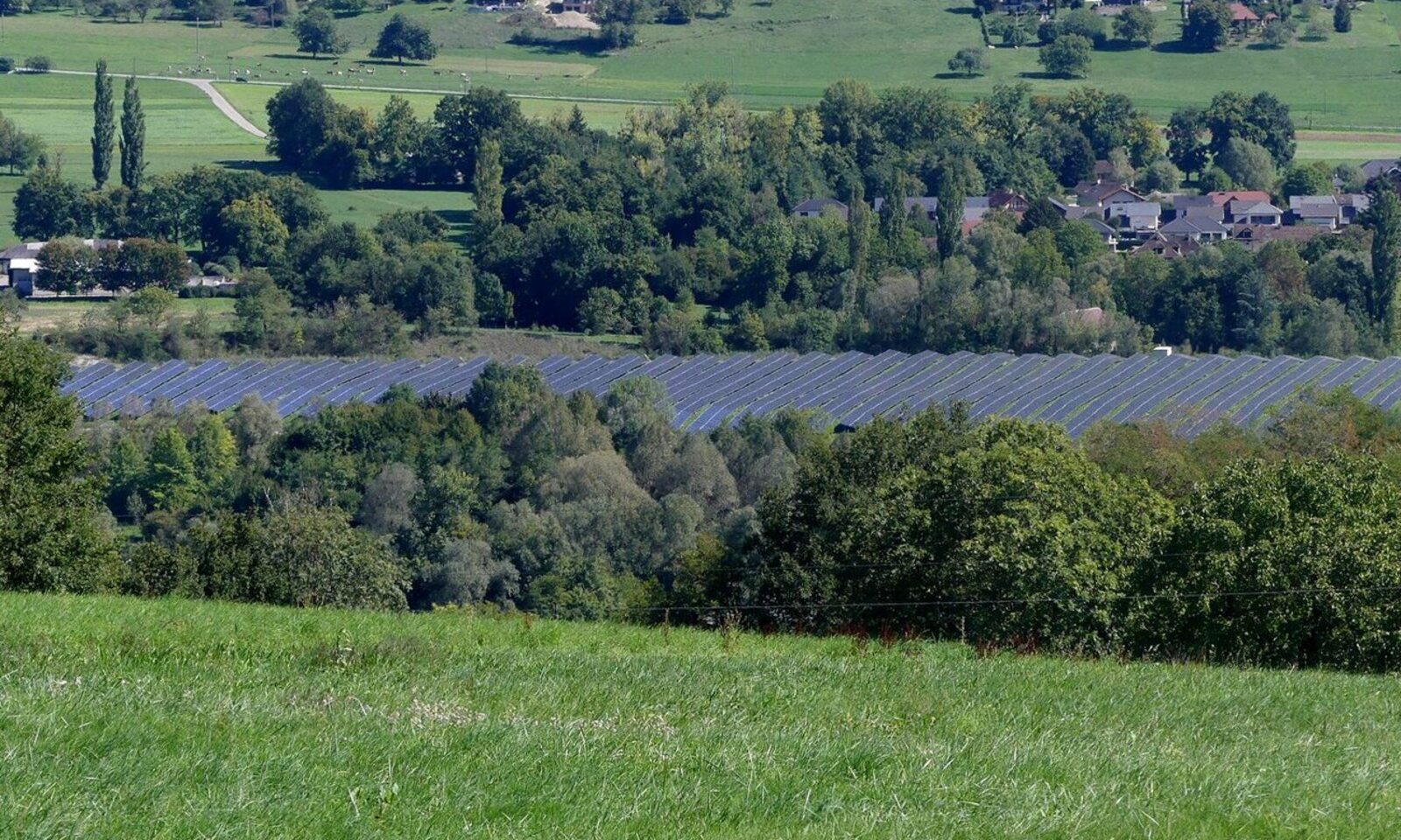 Une ferme solaire au milieu de prairies et de bois, en Savoie
