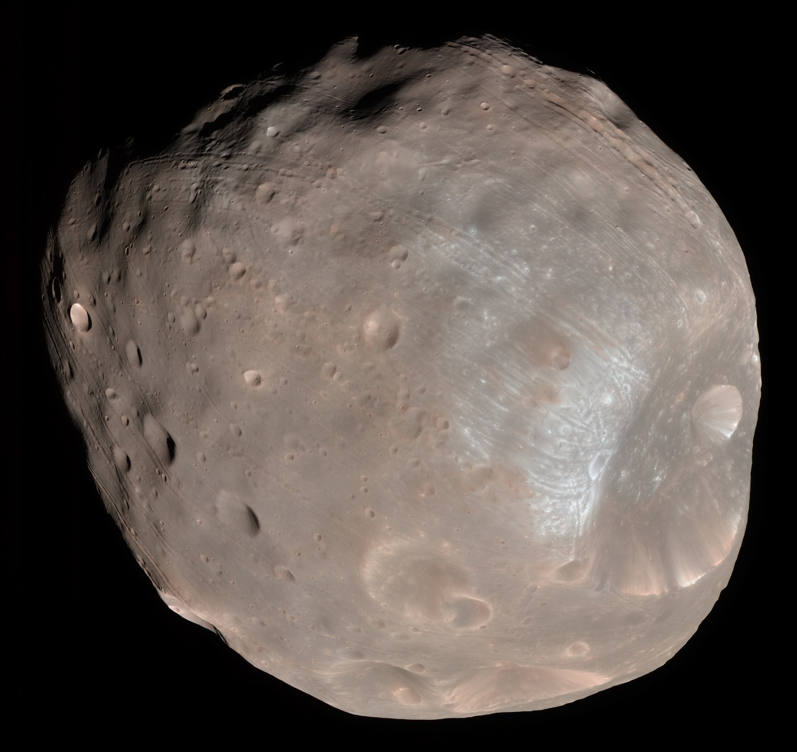 Phobos, lune grise et cabossée couverte de cratères, photographiée en couleur sur fond noir