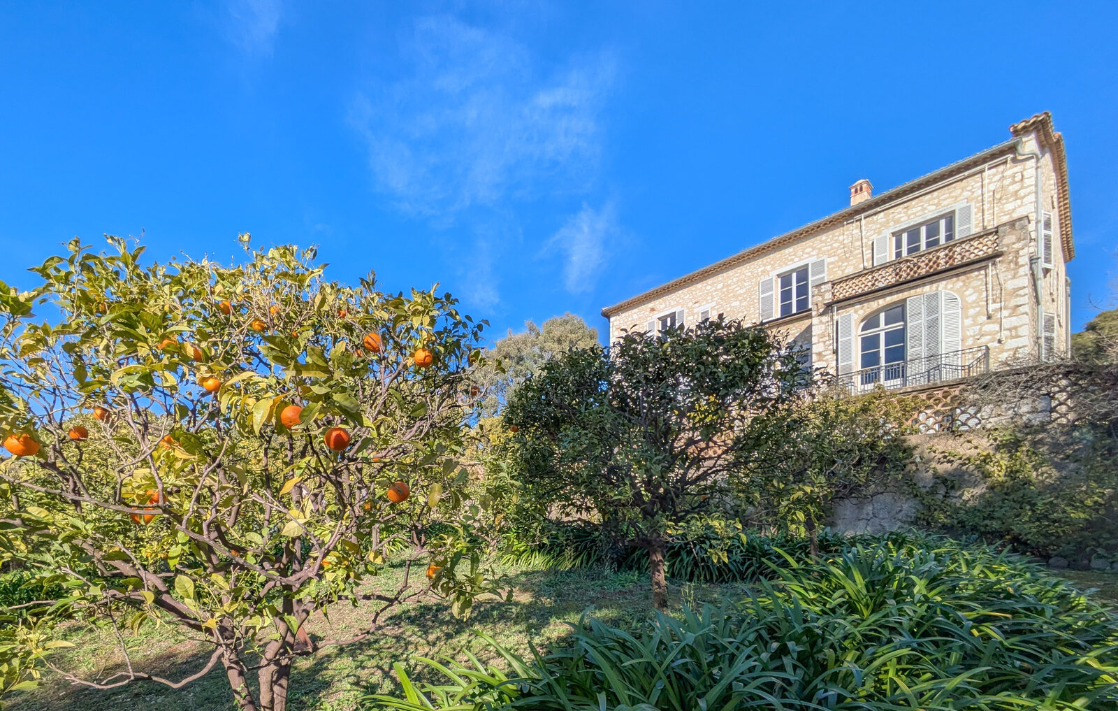 La villa de pierre du domaine des Collettes à Cagnes-sur-Mer, au milieu des orangers, sous un ciel bleu